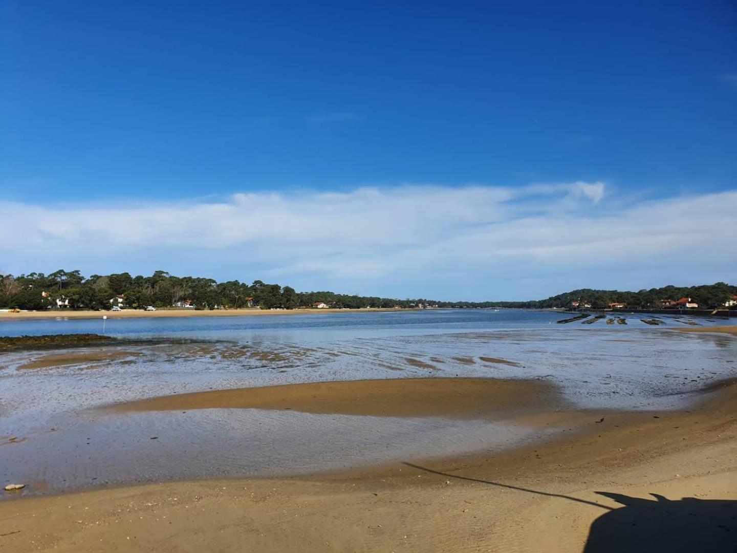 Terrasses Saint Georges - Un Emplacement Exceptionnel Au Centre-Ville Et Au Calme A Quelques Pas Du Lac Marin Soorts-Hossegor ภายนอก รูปภาพ